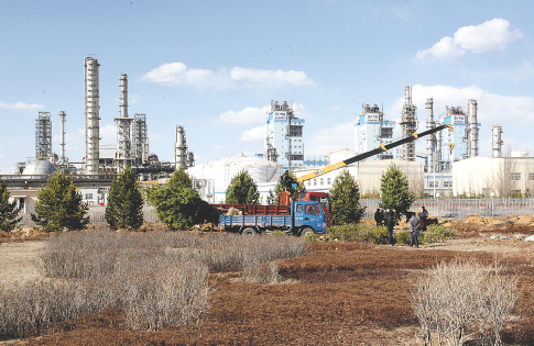 棉花糖游戏平台界面